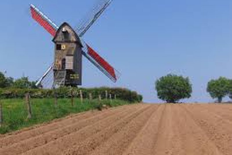 Du moulin Den Leeuw et du pain