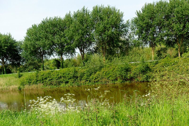 Le chemin des écoliers