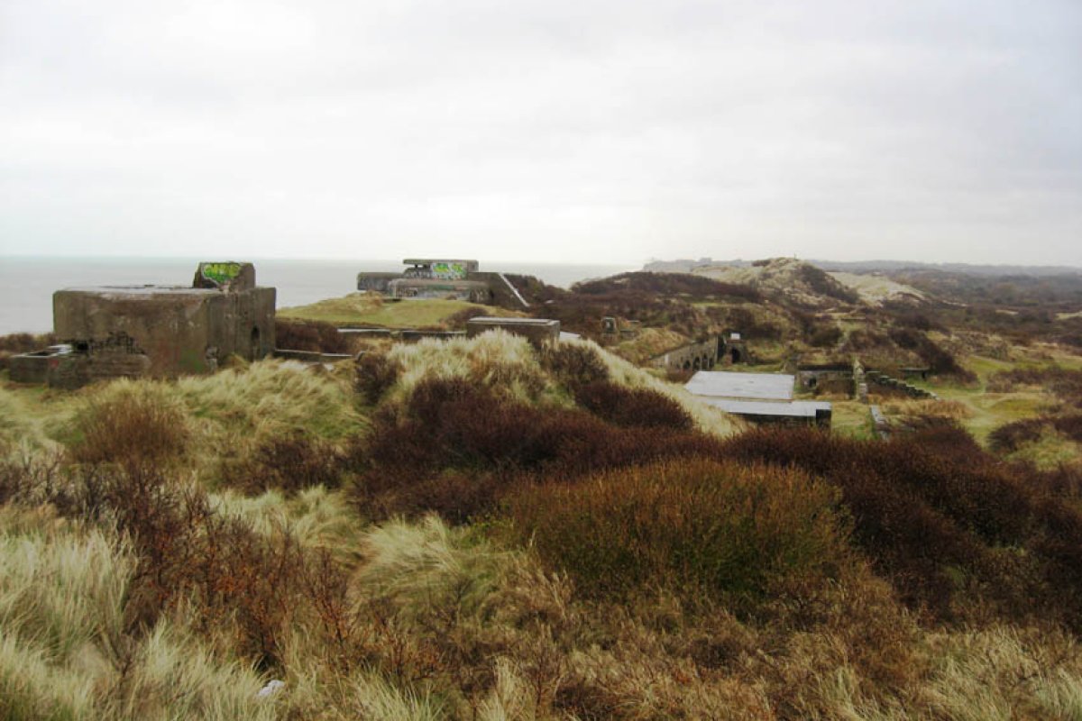 La dune Dewulf