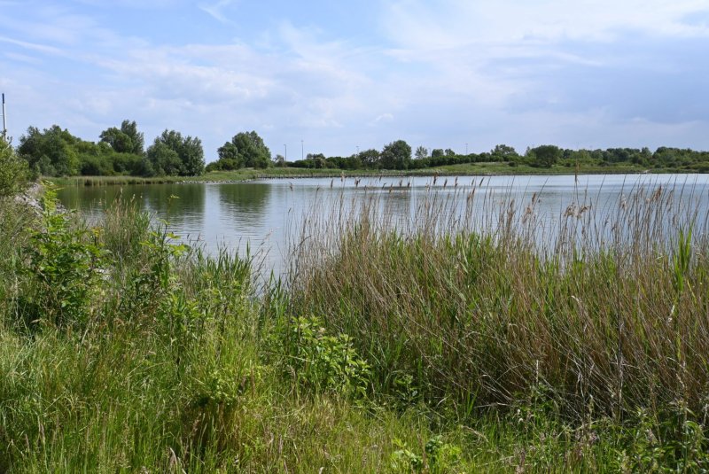 Entre lac et ville