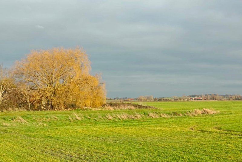 Le long de la Colme
